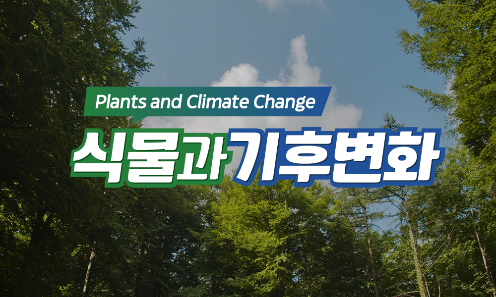 식물과 기후변화